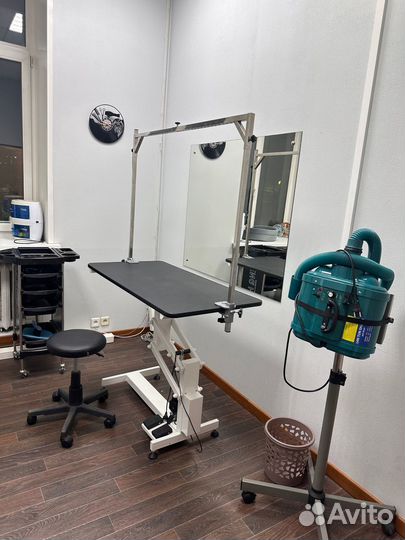 Передержка кошек грызунов рептилий Груминг