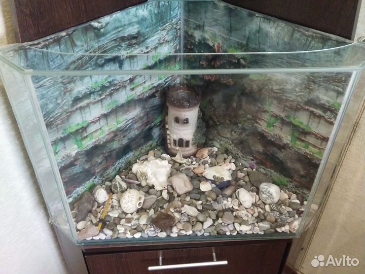 Аквариум угловой