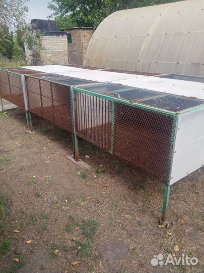 Клетка для кроликов, нутрий, птицы