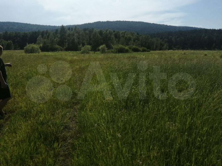 Участок 12 сот. (СНТ, ДНП)