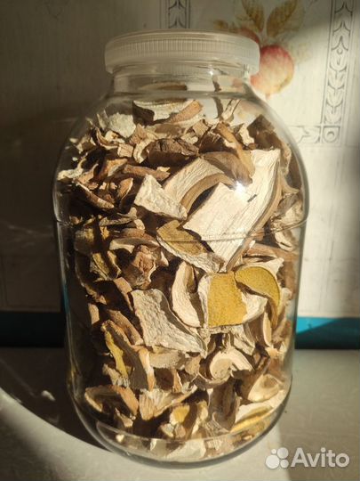 Грузди, рыжики, белые грибы в Костроме