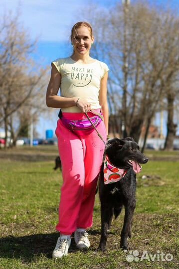 Собака Берта ждёт хозяина