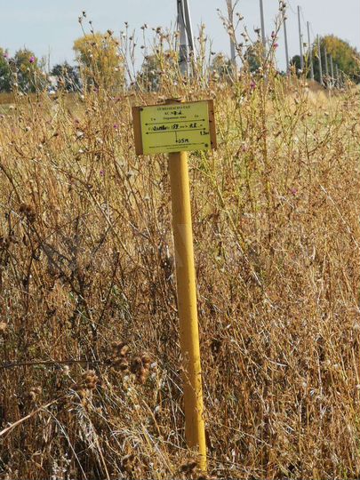 Участок 3,7 га (СНТ, ДНП)