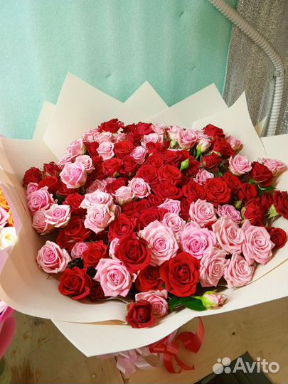 51 кустовая Роза