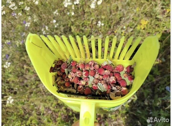 Плодосъемник, плодосборник для сбора ягод