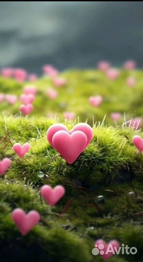 Гадание, расклады, помощь. Обучение