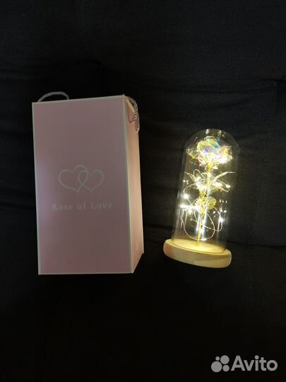 Роза-ночник в колбе