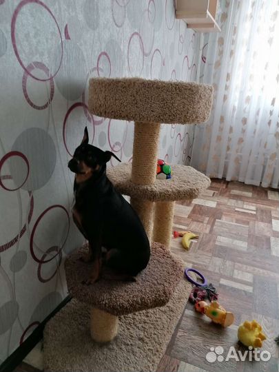 Домик лежанка для кошки