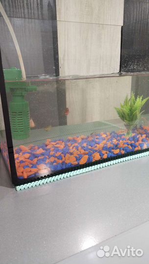 Аквариум с рыбками