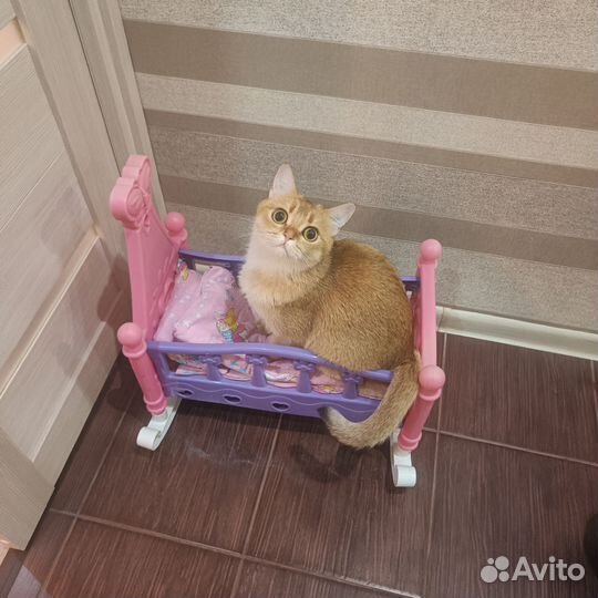 Коляска детская игрушка