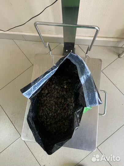 Тыквенные семечки