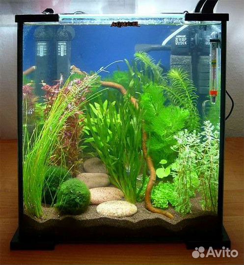 Чистка и обслуживание аквариума