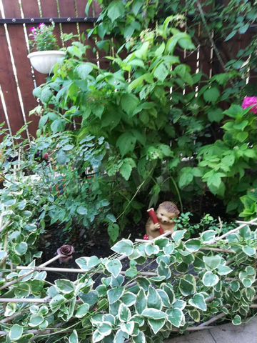 Комната 23 м², 1/2 эт.