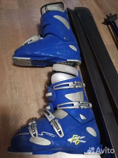 Горные лыжи