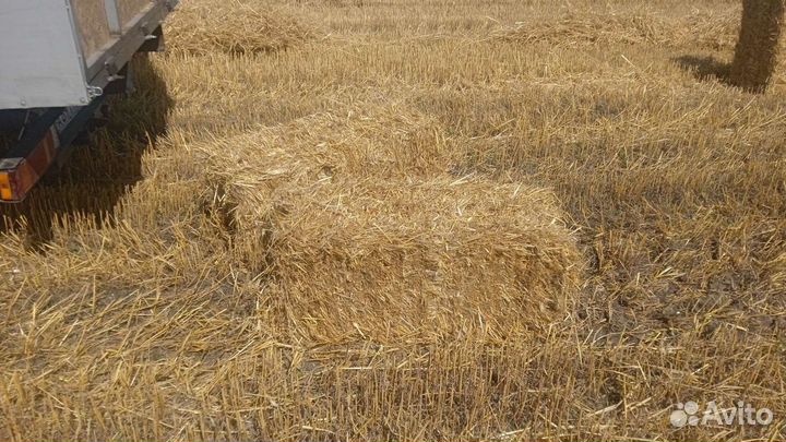 Сено солома в тюках
