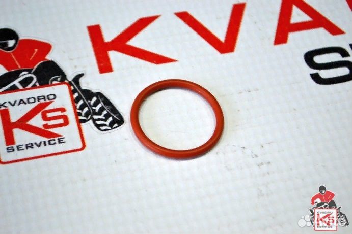 Уплотнитель заглушки генератора brpcanam 420430782