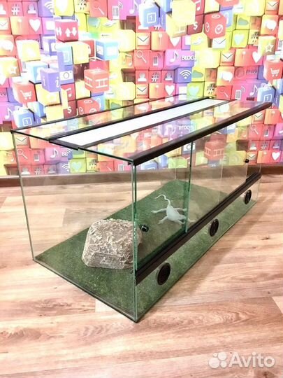 Террариум / Бородатая агама / Змея / Эублефар