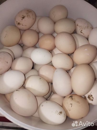 Домашний творог