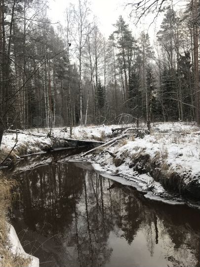 Участок 2,38 га (СНТ, ДНП)