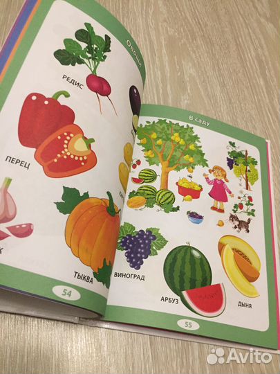 Первая детская энциклопедия от 6 месяцев до 3 лет