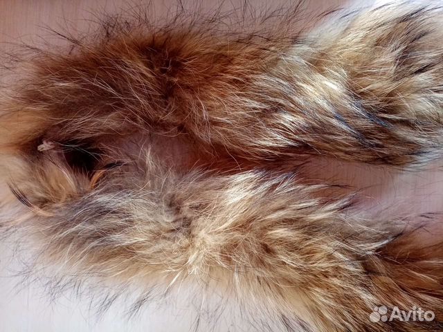 Воротник. енот