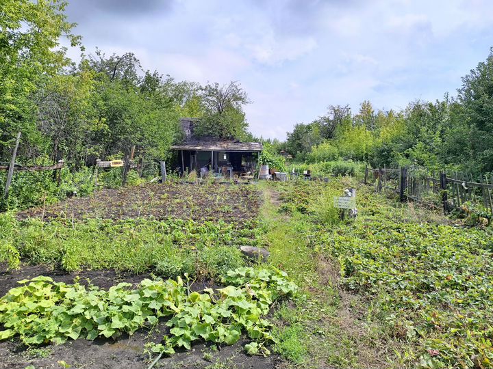 Участок 26 сот. (СНТ, ДНП)