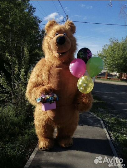 Большой Бурый Мишка поздравление Аниматор