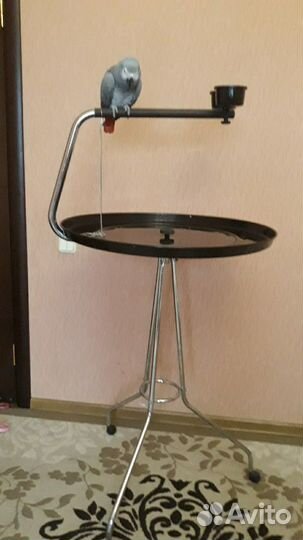 Присада-насест для попугая