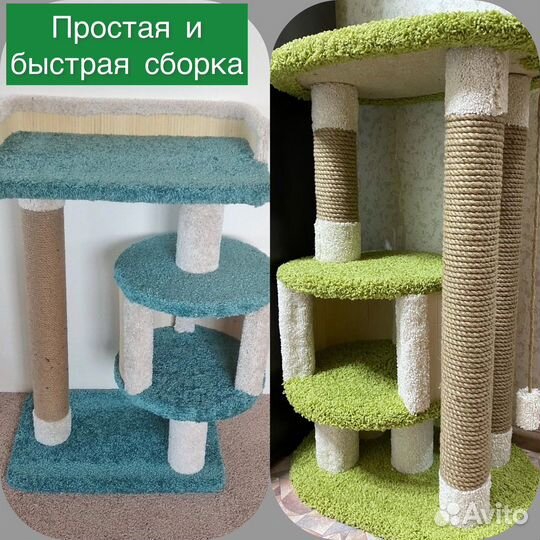 Когтеточка