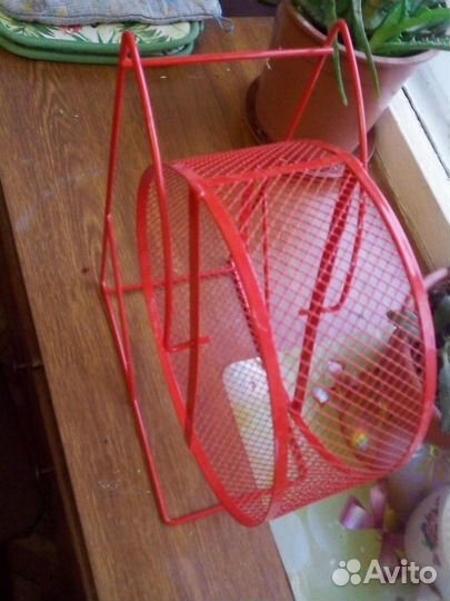 Колесо для крыс