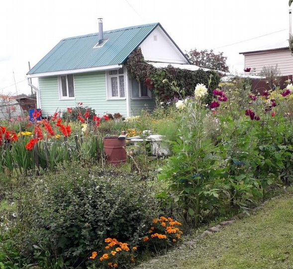 Дача 20 м² на участке 9 сот.