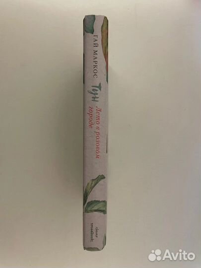 Тун лето в розовом городе