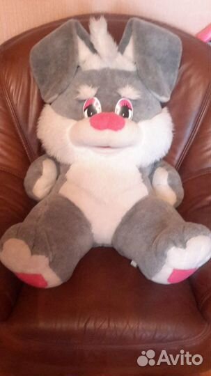 Заяц, медведь,собака,енот