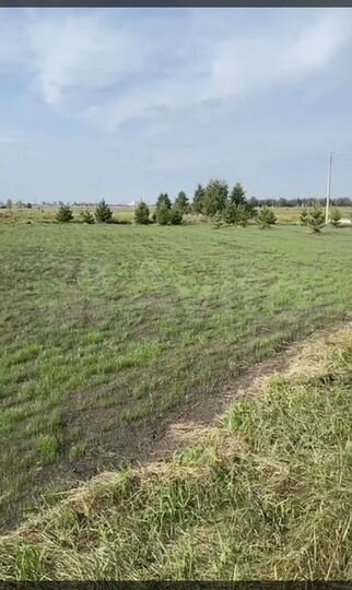 Участок 12,9 сот. (СНТ, ДНП)