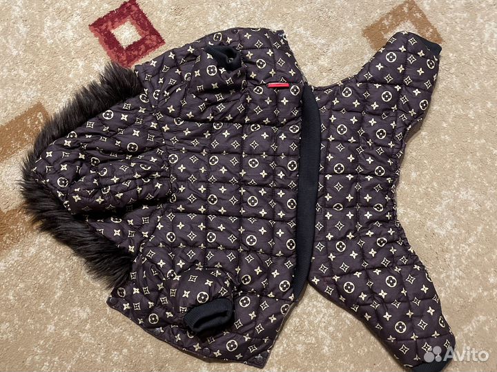 Зимний комбинезон для собак фирмы 