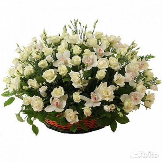 Розы Цветы Букеты с доставкой 21 33 51 по Астрахан