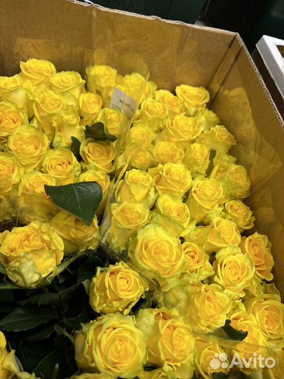 Букет голландских роз