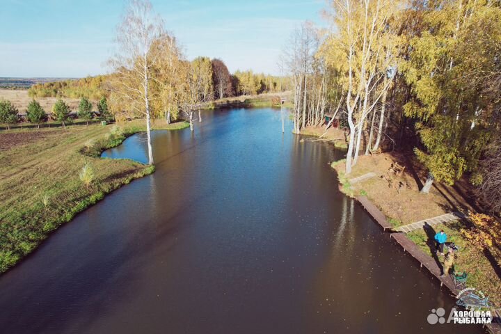Платная рыбалка