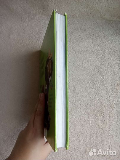 Самая лучшая книга