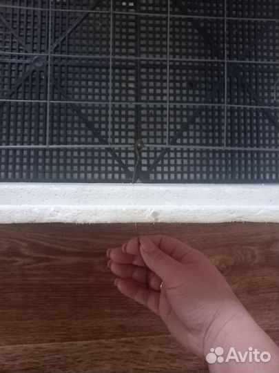 Инкубатор для яиц бу