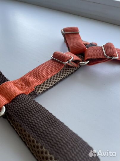 Шлейка для собаки