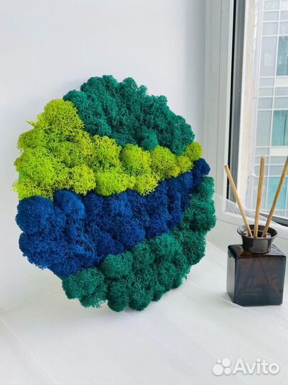 Картина из стабилизированного мха