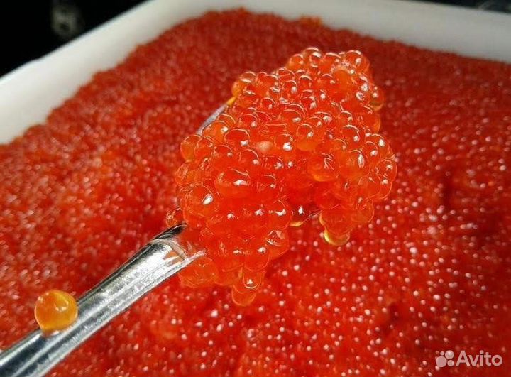 Икра горбуши кеты кижуча нерки форели