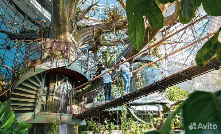 Экскурсия — Дубай — Джунгли Амазонии вДубае: билет