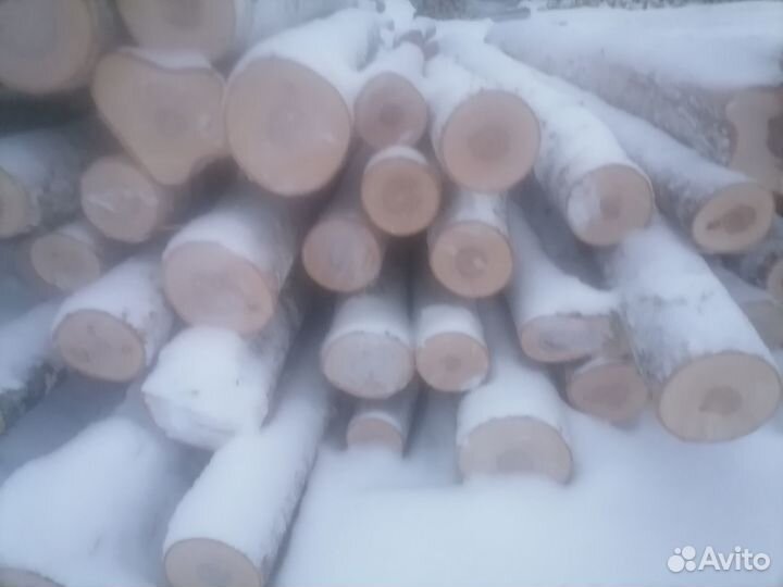 Лес кругляк береза осина