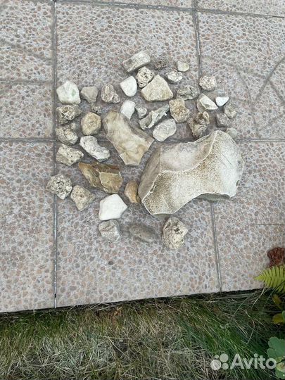 Камни для аквариума