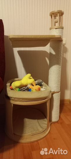 Когтеточка