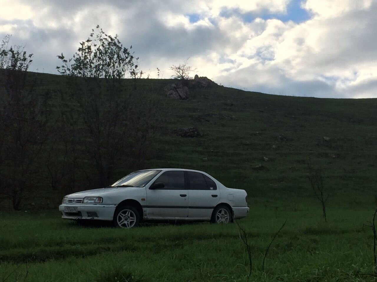Nissan Primera: фото владельца