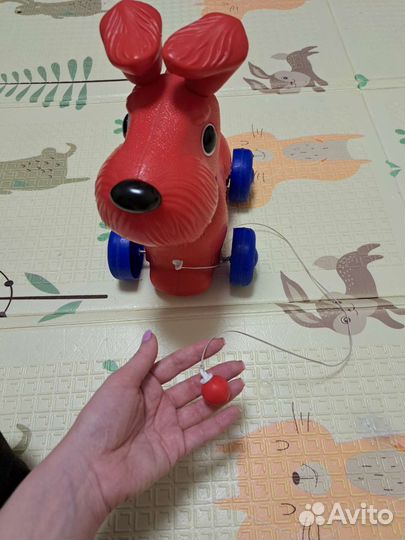 Каталка собака