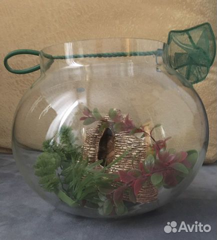 Аквариум «сфера» 8 литров с декорацией и сачком